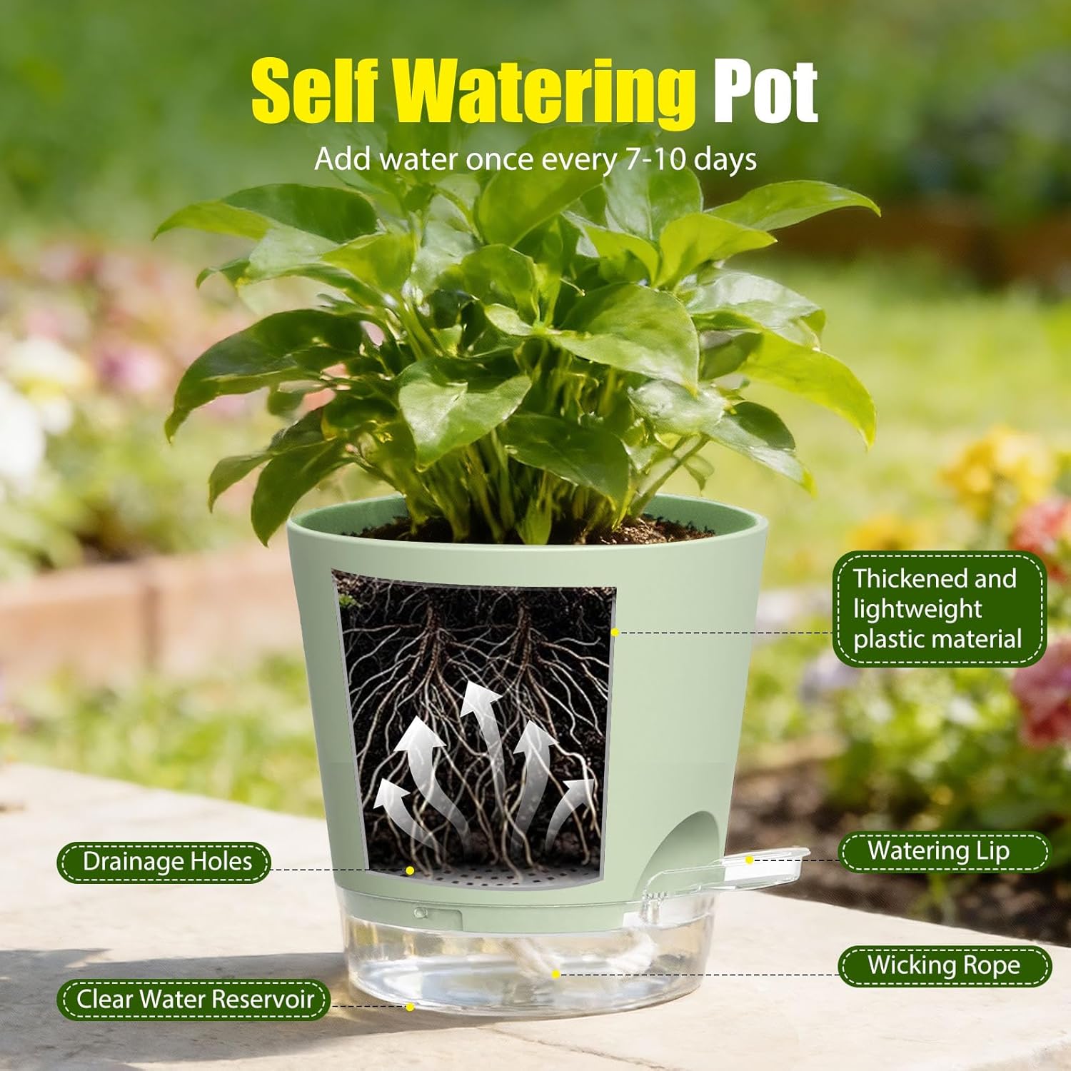 Plant Pots 8 Inch Self Watering Pots, 2 Pack Plastic Planters with Drainage Holes and Clear Saucers,Plastic Flower Pots for Indoor Out Door Plants (Green)