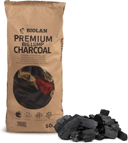 Charbon de barbecue de qualité supérieure Biolan