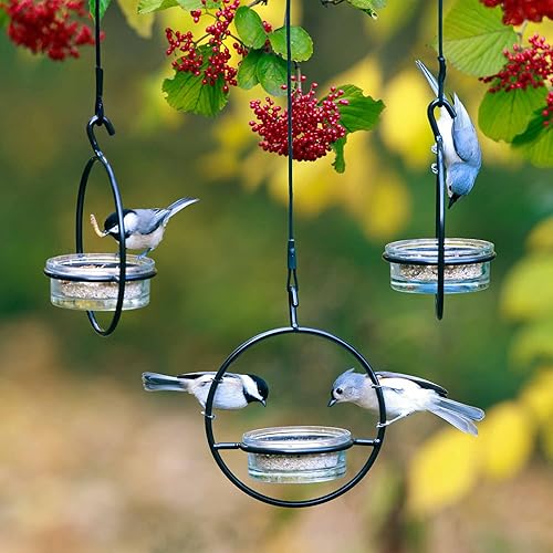 Miniatura 3 de Hummble - Comedero básico para pájaros, M045-200, capacidad de 3.4 onzas, transparente, 1 unidad