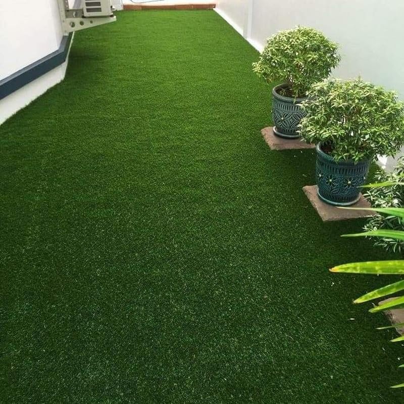 Grass seeds for lawn ||100% Germination Pack of 4000 + Seeds (B0DGZBXMSW) Amazon Price History, Amazon Price Tracker