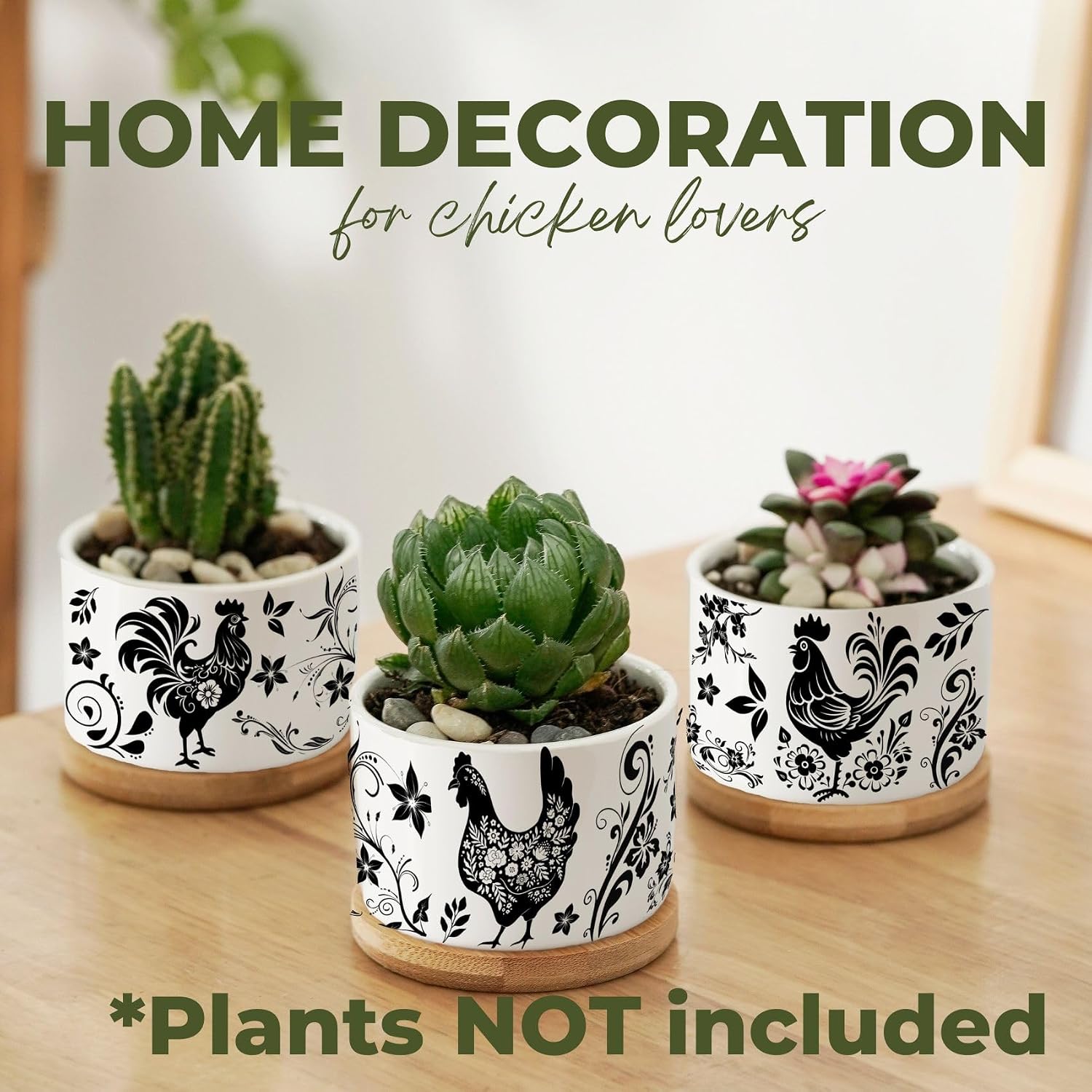 InnoBeta Chicken Succulent Plant Pots 3pcs, Gifts for Crazy Chicken Lady, Planter Pot with Bamboo Tray, Plants NOT Included,for Birthday, Christmas