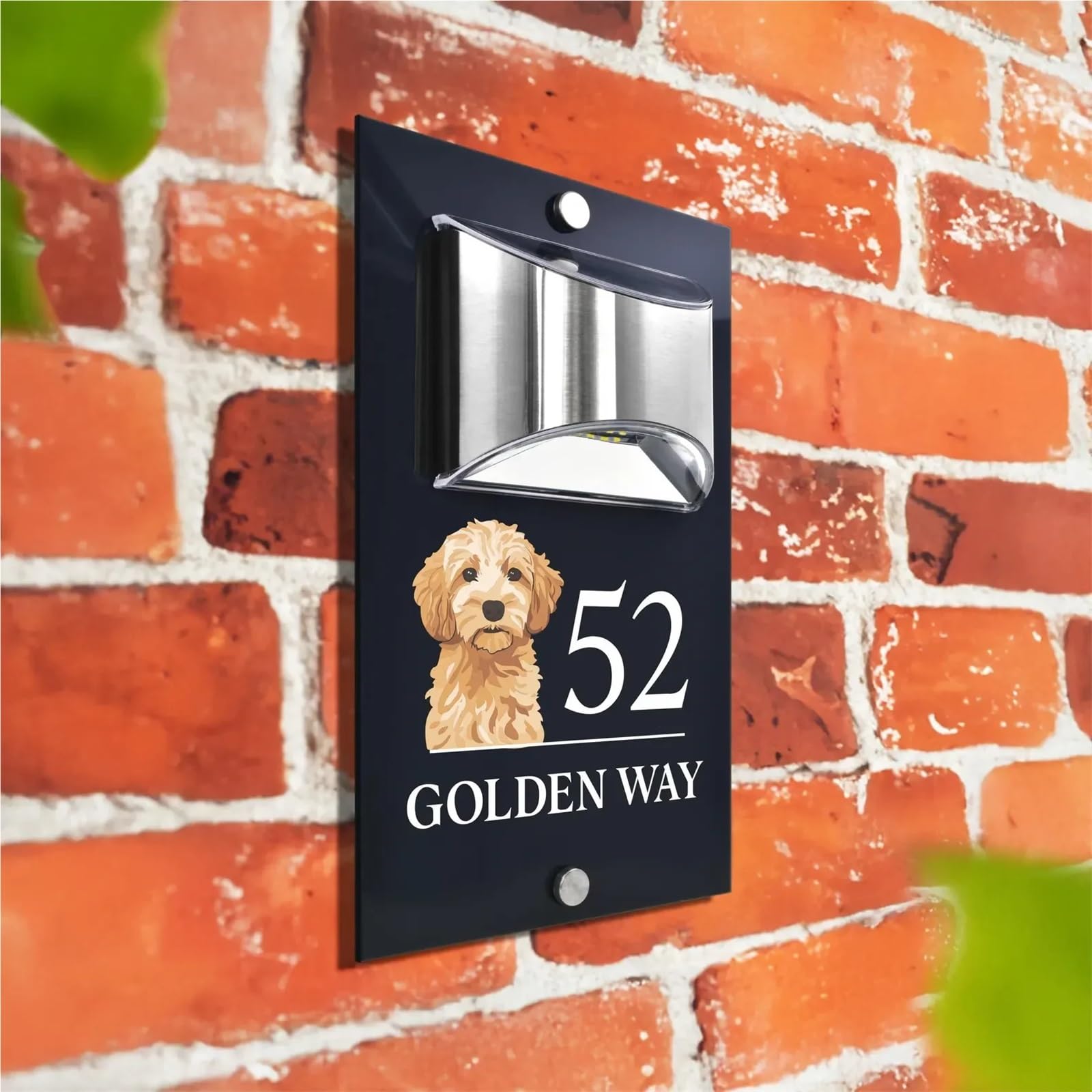 Numero civico, cartello con numero civico personalizzato con illuminazione solare, moderno, color antracite, design con cane e bulldog (stile 6,6 x 25,4 cm)