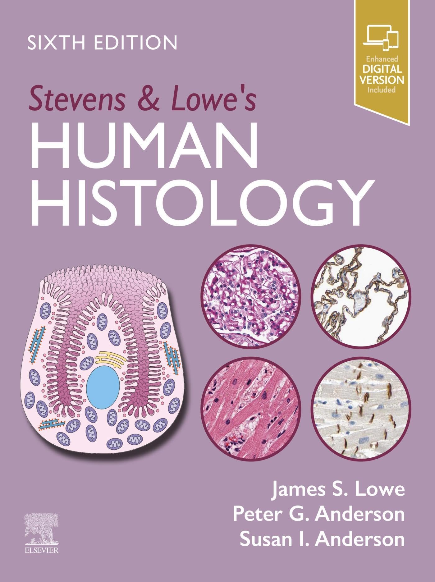 Stevens & Lowe's Human Histology - E-Book (English Edition)