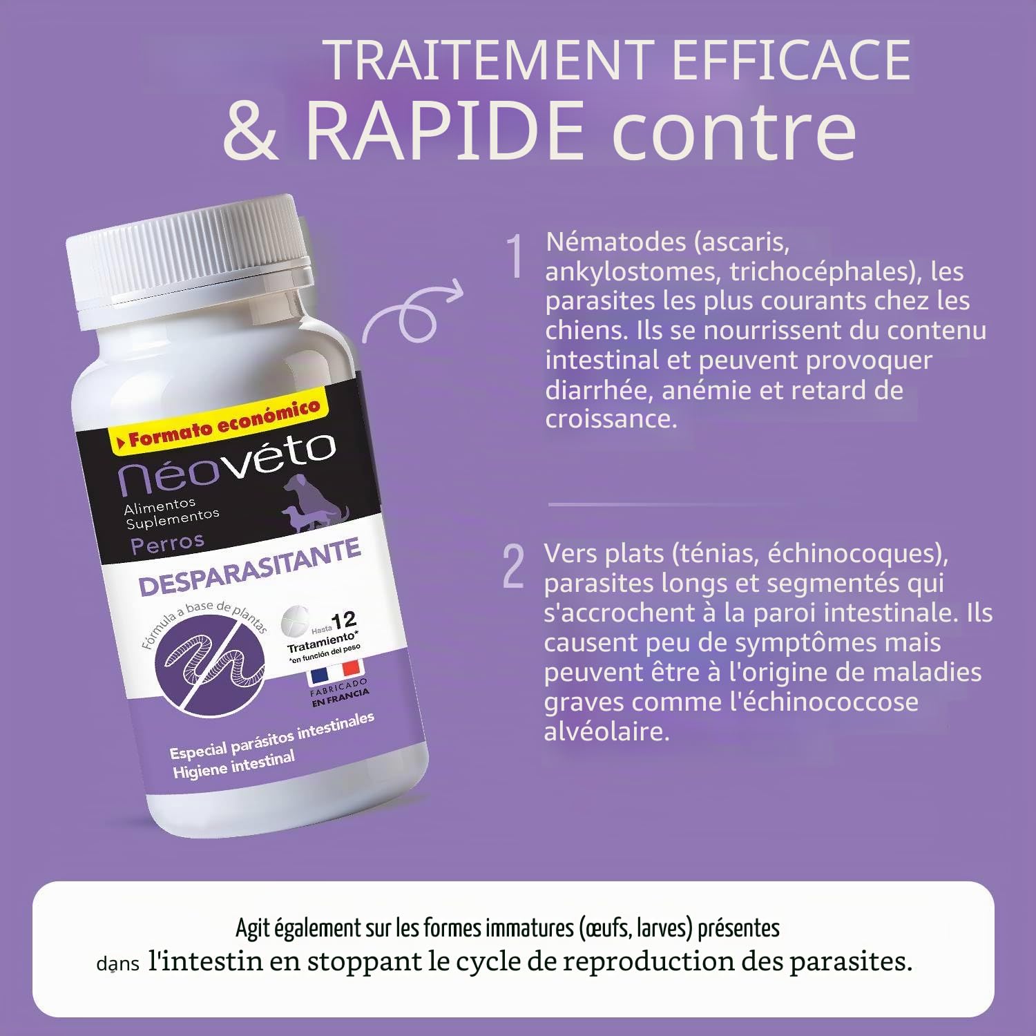 NEOVETO - Vermipurge - Vermifuge pour Chien en comprimés naturels - Actifs agréés par Les Services Vétérinaires Français - Fabriqué en France - Facile à administrer - 30 comprimés (Version espagnole)