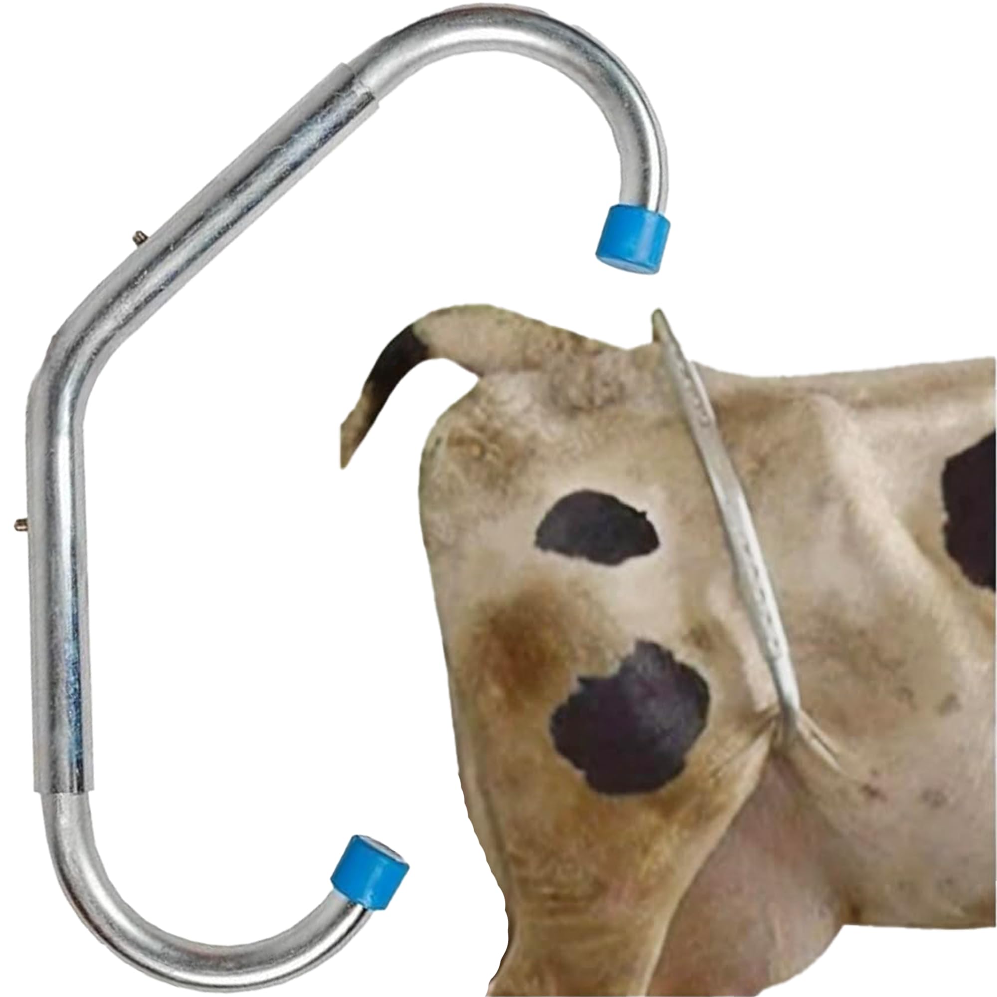 Cow Anti Kick Bar – Adjustable Stainless Steel Milking Leg Holder & Kick Stopper for Cows and Buffalo, Dairy Farm Safety Restrainer Bar