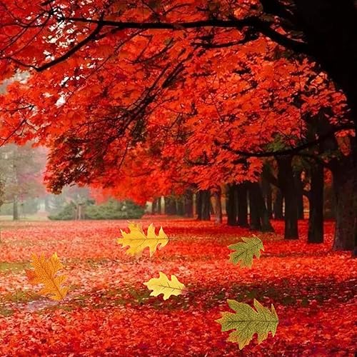 Miniatura 7 de FZBNSRKO 100 hojas de arce artificiales de otoño, hojas de roble de otoño para manualidades, hojas de arce falsas de otoño para Acción de Gracias,