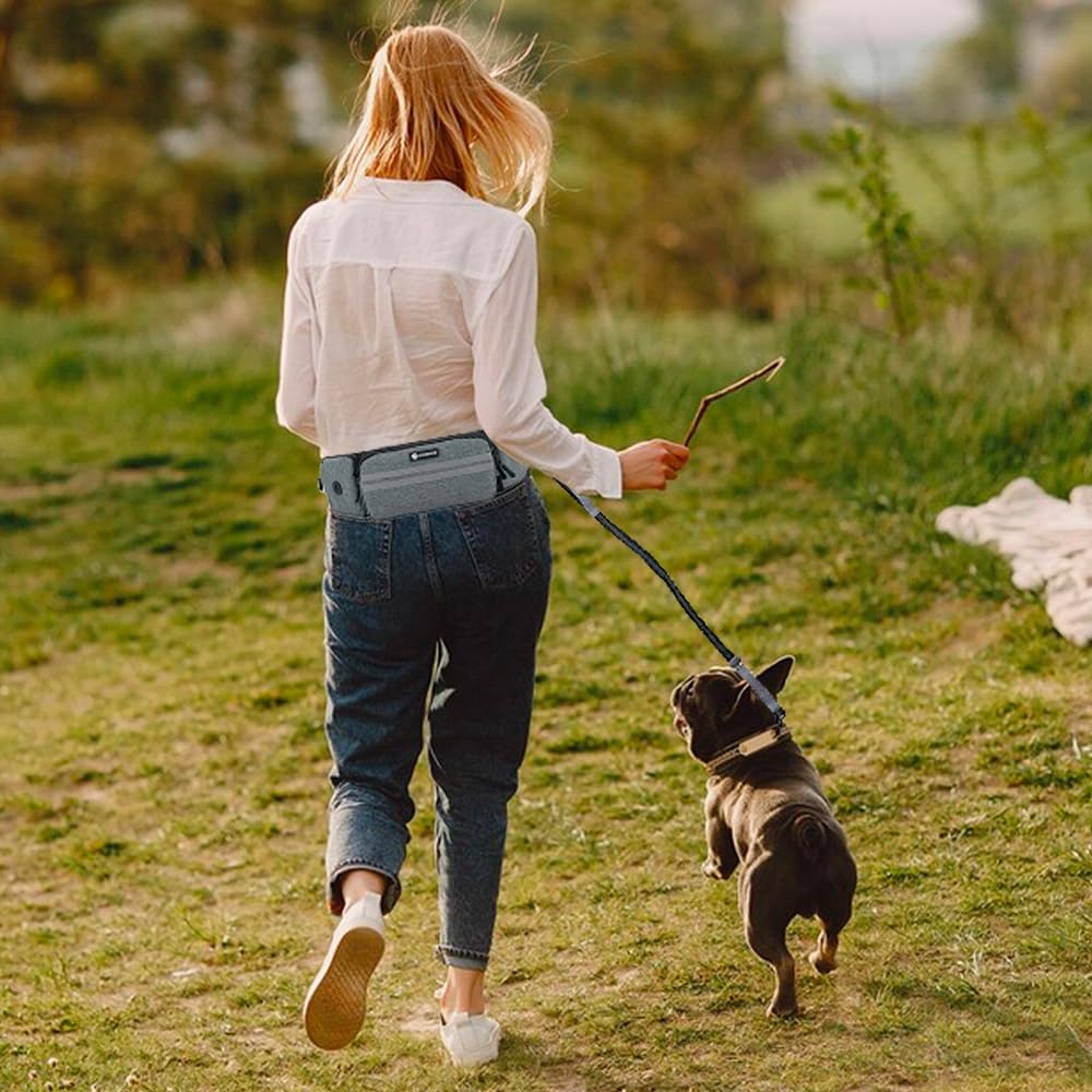 Leckerlitasche für Hunde, Bauchtasche für Hunde Zubehör-Leckerlibeutel mit Kotbeutelspender, reflektierende Bungee-Waist-Leine Für Gassi, Wanderungen & Hundetraining (Grau, Mit 1 Hundeleine)