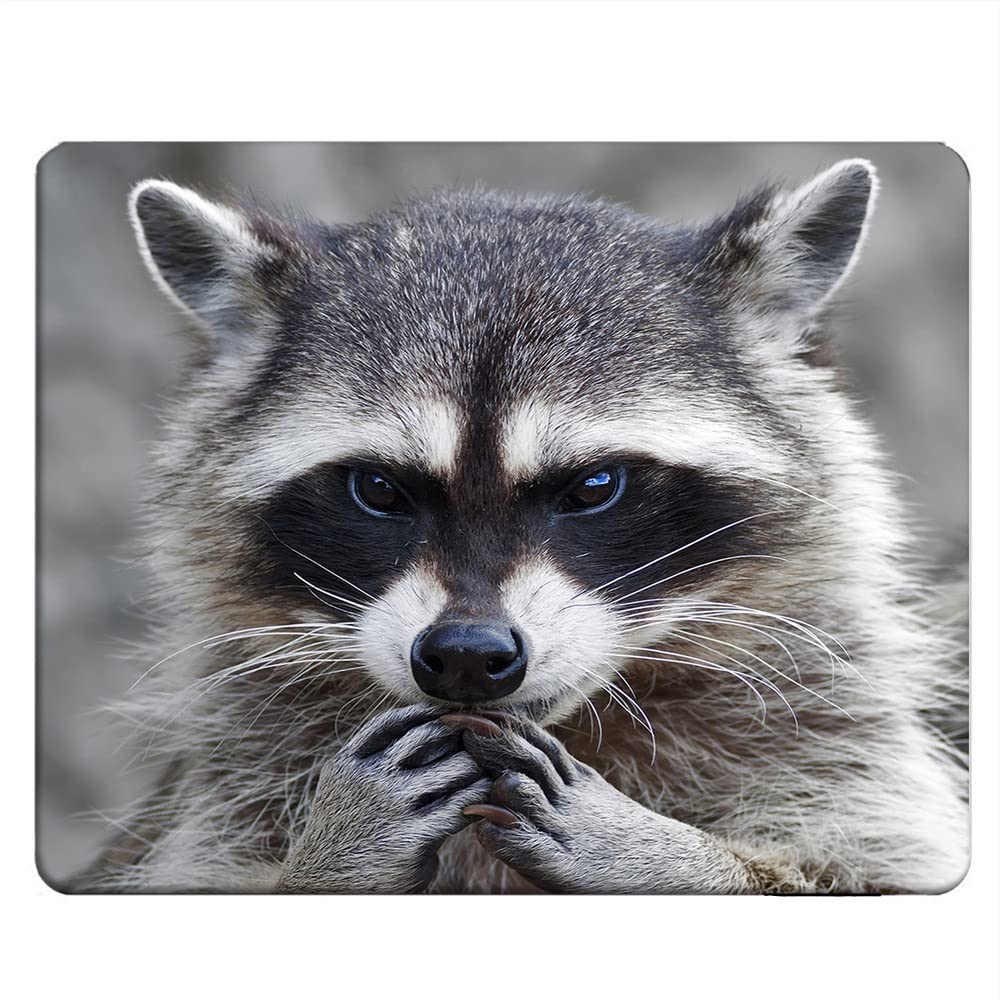 Nicokee Raccoon Rectangle Gaming Mousepad Lovely Raccoon Whild Animal Mouse Pad Mouse Mat for Computer Desk Laptop Office 9.5 X 7.9 Inch Non-Slip Rubber