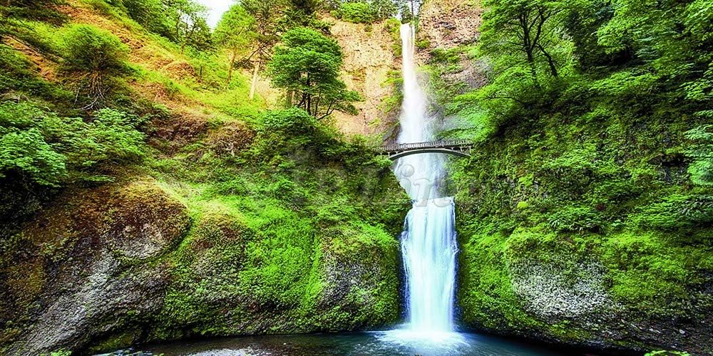 Waterfall Bridge Aquarium Background Poster PVC Fish Tank Decor Landscape (84" x 30"/ 213 x 76cm)