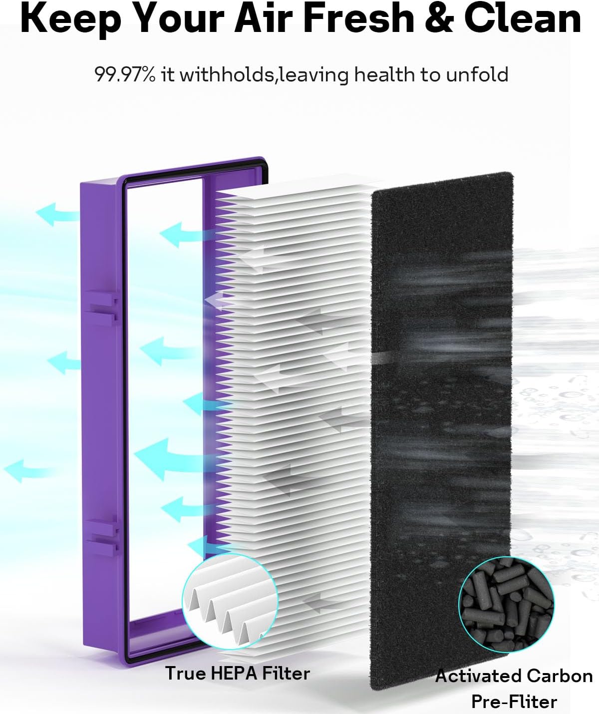 Leemone Aer1 Filter Replacement for Holmes Air Purifiers, 2 True HEPA Filters + 4 Carbon Booster Filters, HAPF300AP-U4