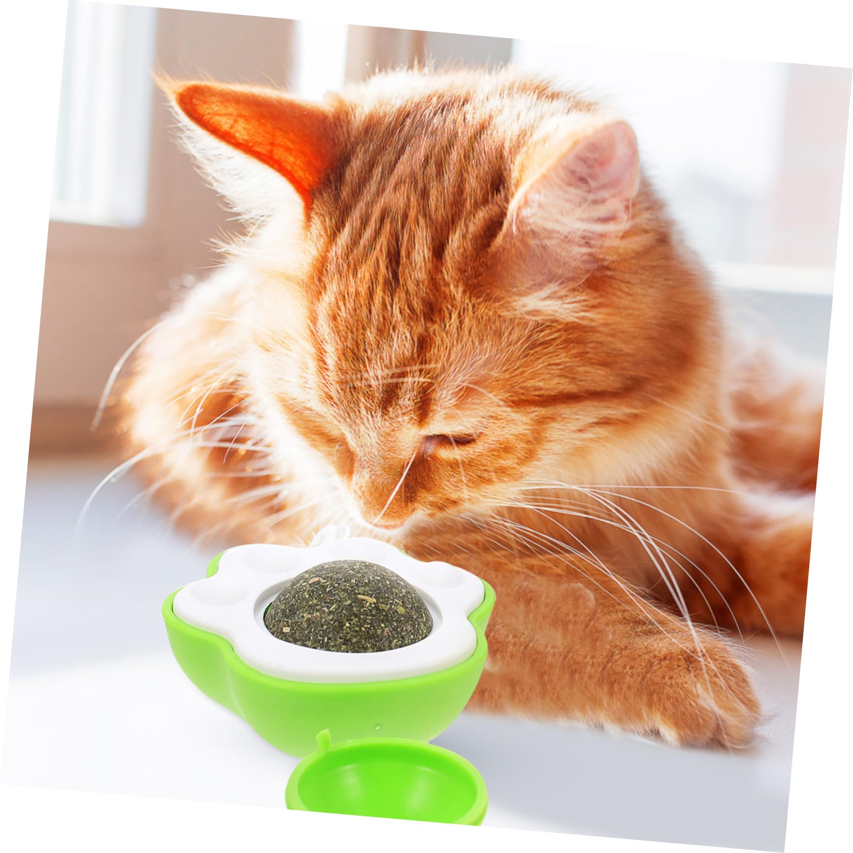 VANZACK 10sätze Rotierender Katzenminze Spielzeug Für Katzen Selbstamüsierendes Spielzeug Und Fördert Bewegungsfreude Und Wohlbefinden Haustiere