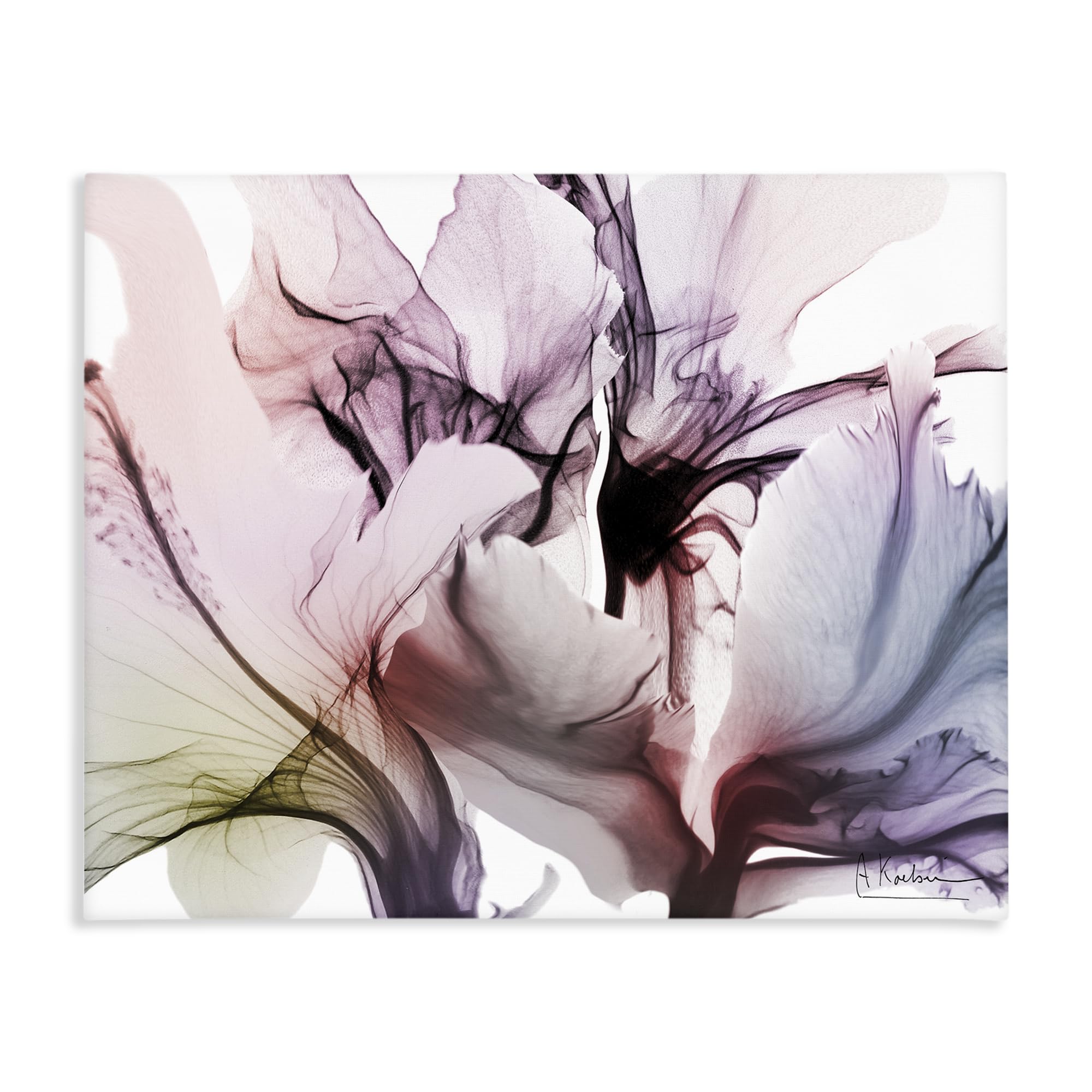 Stupell Industries 'Brilliant Song Flower Petals', Canvas Art, 20 x 16 Inches, Easy to Hang and Sturdy, Made in USA, by Albert Koetsier