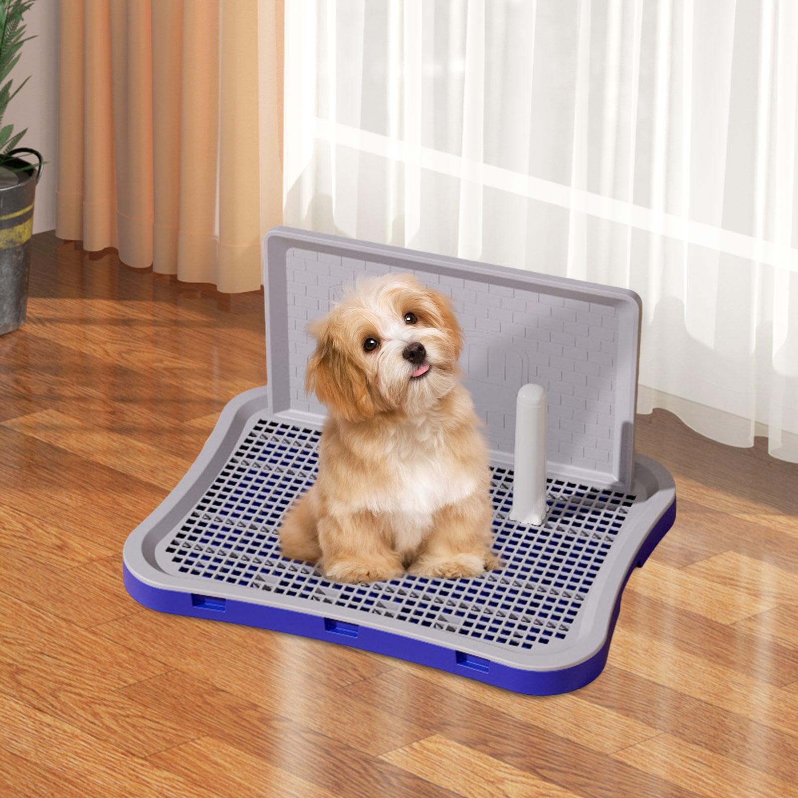 Hundetoilette mit Schützendem Netzgewebe, Welpen Und Katzenklo, Hundetoilette für Wohnung, Kätzchen Und Außenbereich, Klein Blau