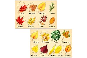 Kathfly Pumpkin Manipulatives Preschool Learning Puzzle