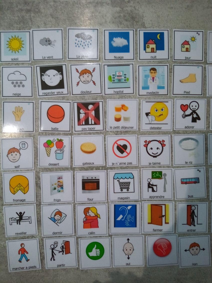 Générique 73 Pictogrammes de Communication pour classeur PECS Makaton TSA Autiste Autisme Langage Visuel Handicap DYS CAA