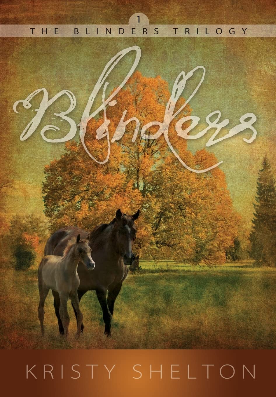 Blinders: Volume 1 (The Blinders Trilogy)