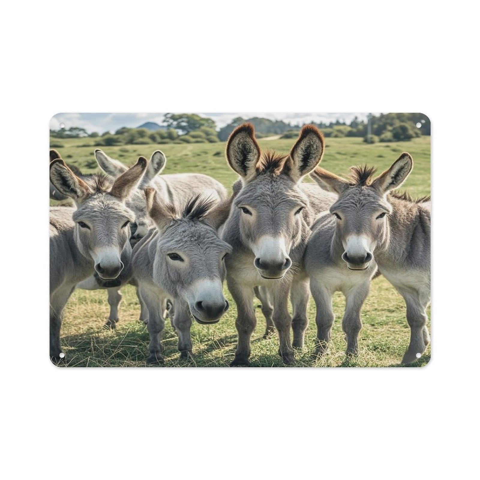 VstaDank Donkey Animals Wall Art Prints Metal Sign Decor Painting Aluminum Wall Hanging Decor Vintage Poster Sublimation Picture Panel Weatherproof Art Decorative Wall Decors