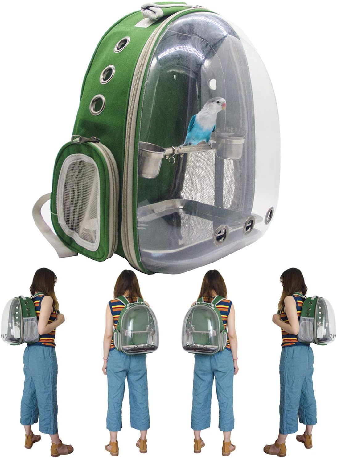 SHANTU Bird Small Parrot Carrier - 360°Sightseeing Bird Space Capsule Parrot Travel Backpack with Stainless Steel Stand Perch and Cups for Travel Outdoor Activity(Green)