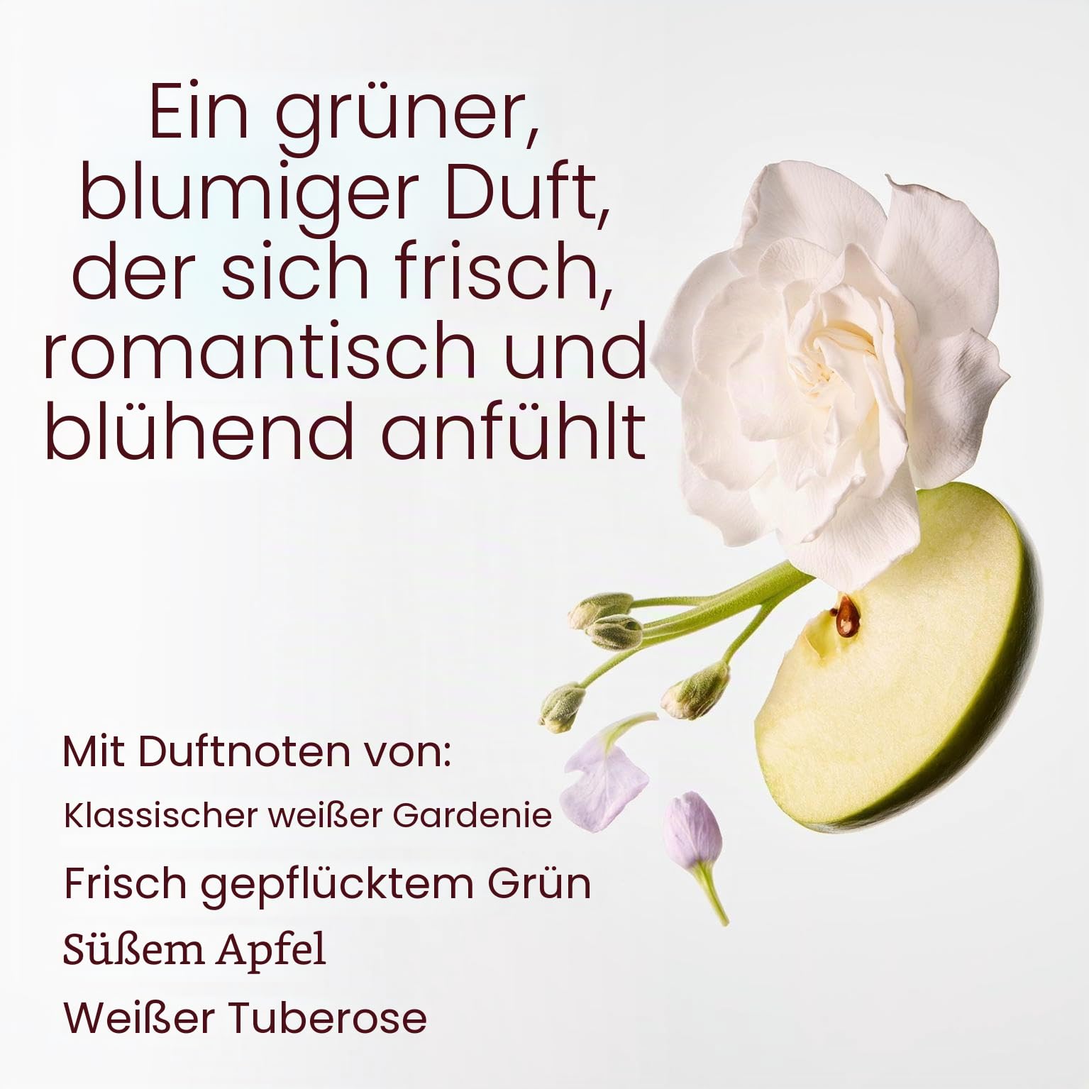Bath and Body Works White Barn Kerze mit 3 Dochten, mit ätherischen Ölen, 411 ml, Duft 2021 Kerne, White Gardenia