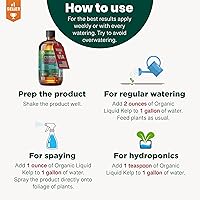 Vista 7 de GARDENERA Superalimento orgánico prémium de algas marinas y algas marinas para plantas AROID - 32 oz - Concentrado de fertilizante líquido de algas