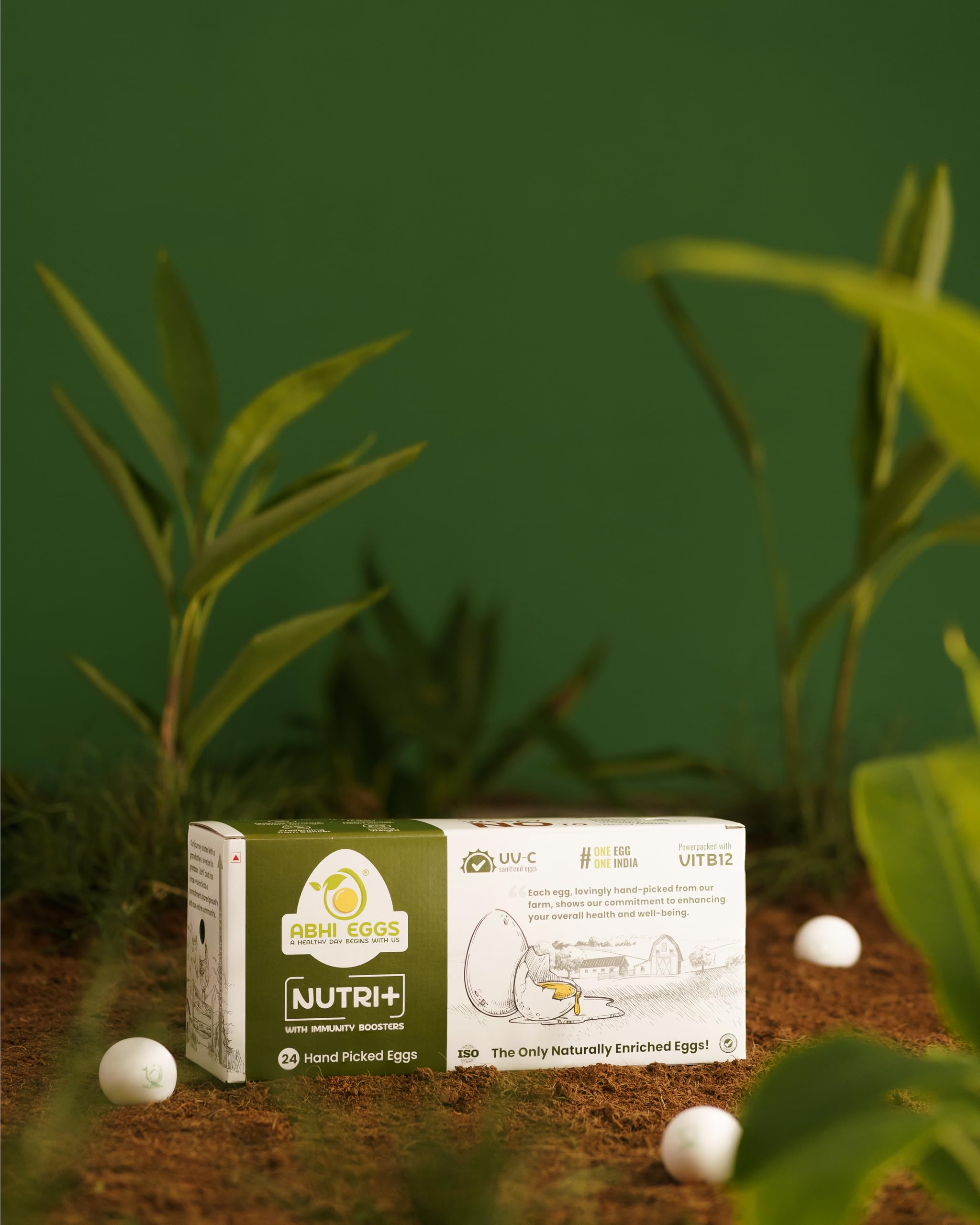 ABHI EGGS NUTRI+ - Pack of 24