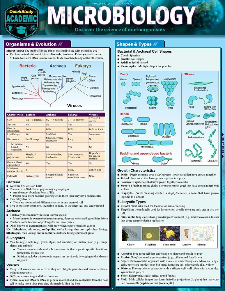 Microbiology: a QuickStudy Laminated Reference Guide (Quick Study Academic)