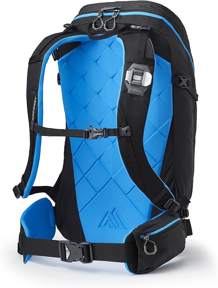 Amazon.co.jp: Gregory(グレゴリー) ターギーFT 24 オゾンブラック SM