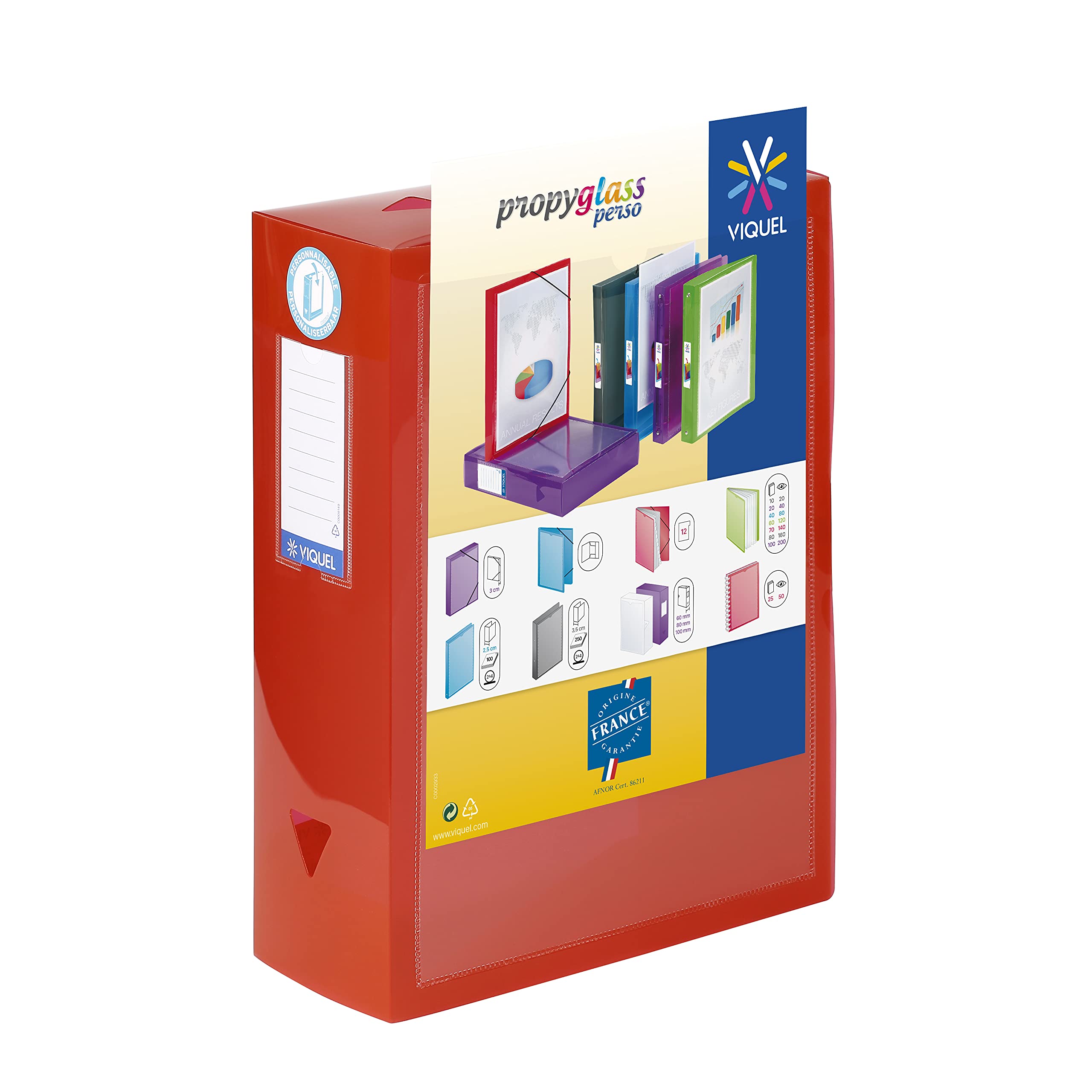 Viquel Class Docs Propyglass – Juego de 4 cajas de índice personalizable (polipropileno) ancho de 100 mm), multicolor