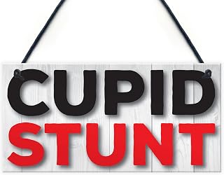 RED OCEAN Cupid Stunt Funny Man Cave Home Bar Shed Pub Hanging Plaque Friendship Gift Sign