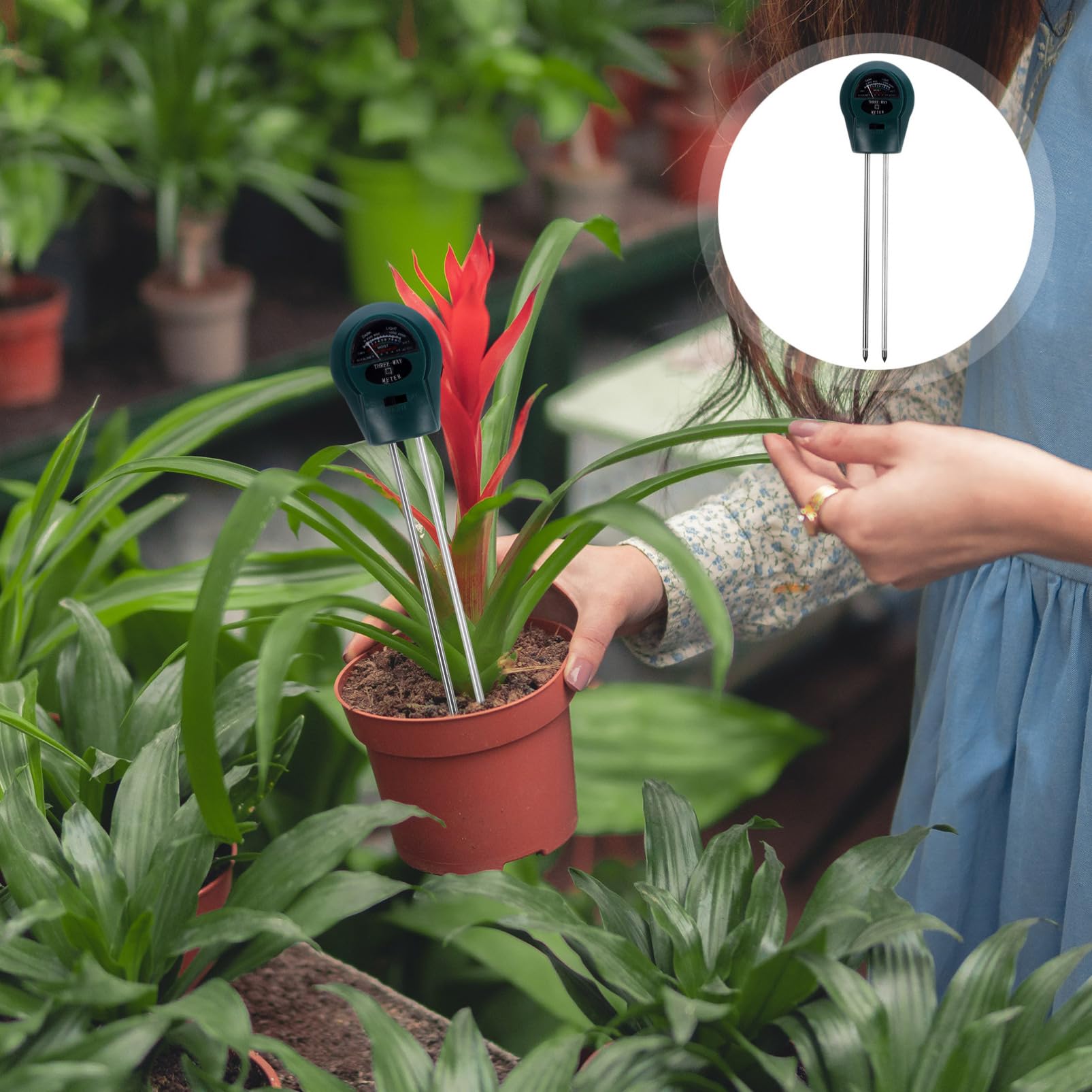 BESPORTBLE 4 Piezas Detector De Suelo Probador De Suelo Medidor De Suelo Kit De Prueba De Suelo Termómetro De Suelo Tierra Para Macetas Plantas De Interior Suelo Suculento El Plastico Green