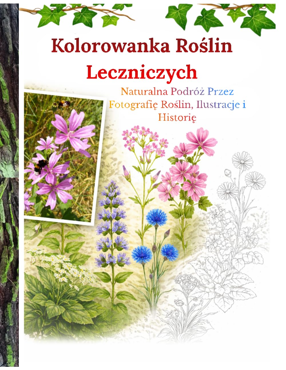 Kolorowanka Roślin Leczniczych: Naturalna Podróż Przez Fotografię Roślin, Ilustracje i Historię