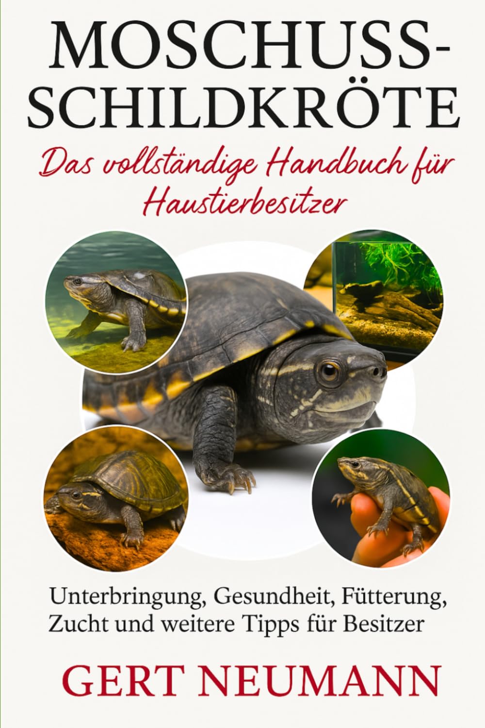 Moschusschildkröte Das vollständige Handbuch für Haustierbesitzer: Unterbringung, Gesundheit, Fütterung, Zucht und weitere Tipps für Besitzer