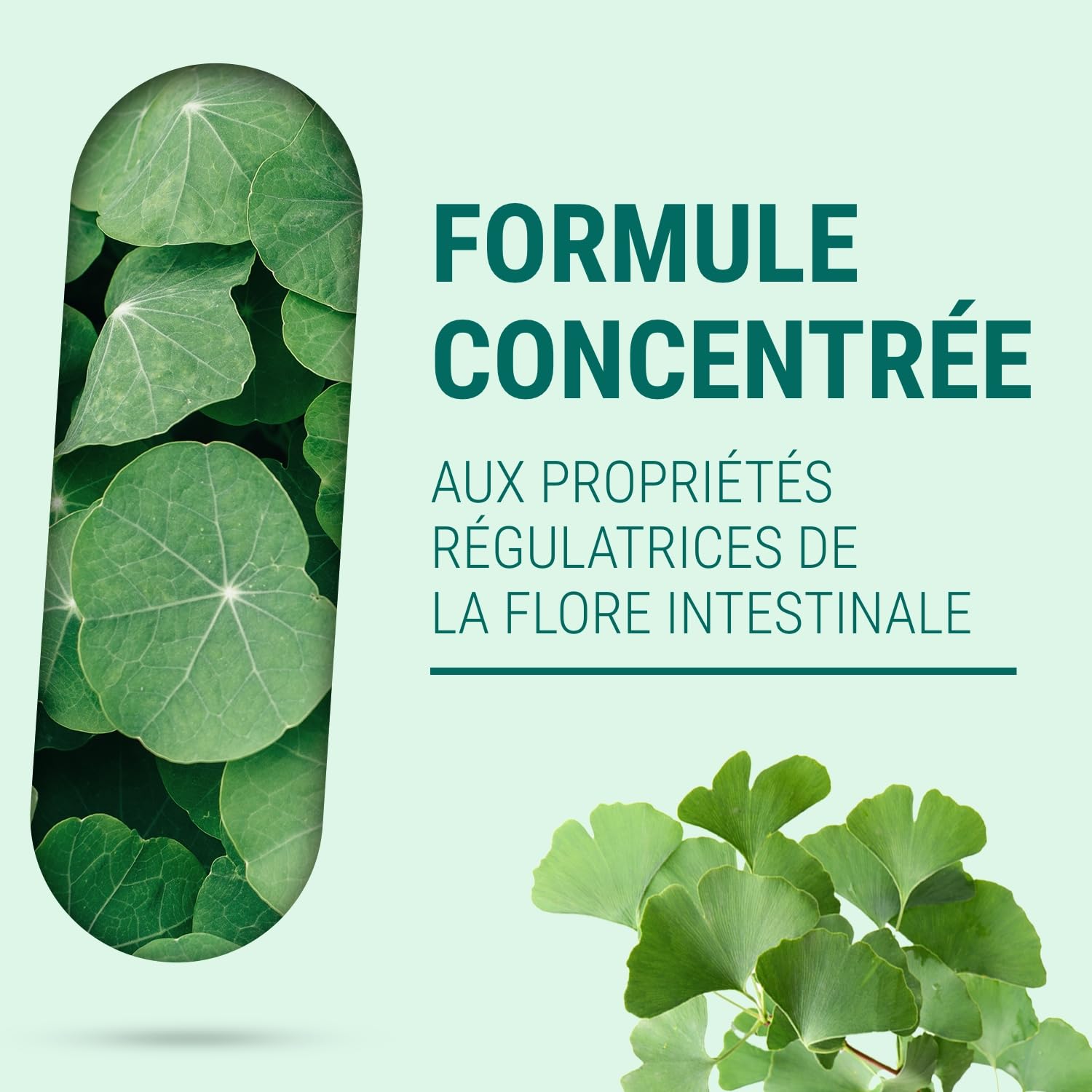 PROBIOT - 14 milliards/gélule - Complément Alimentaire Probiotiques, Digestion & Flore Intestinale - 90 Gélules - Fabriqué en France - Vegan - Sans Additif Allergène OGM