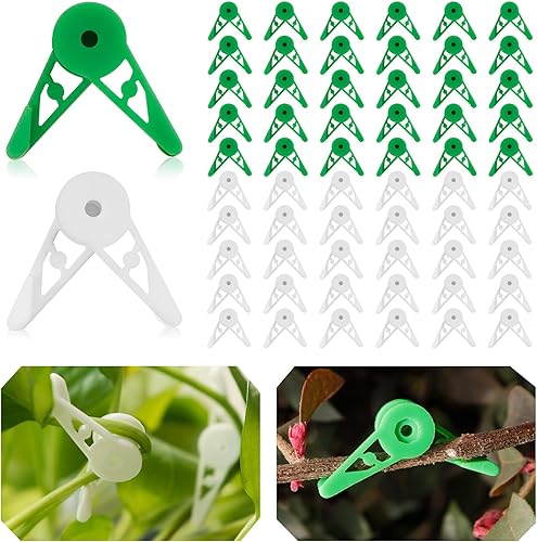 YBB 60 clips ajustables de 360 grados, clips de entrenamiento de tallo para entrenamiento de bajo estrés (verde + blanco)