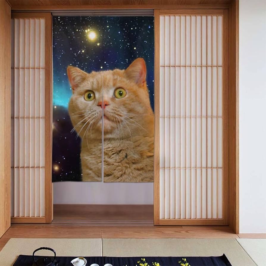 Amazon｜のれん 宇宙 猫 間仕切り 暖簾 遮光 おしゃれ ドア