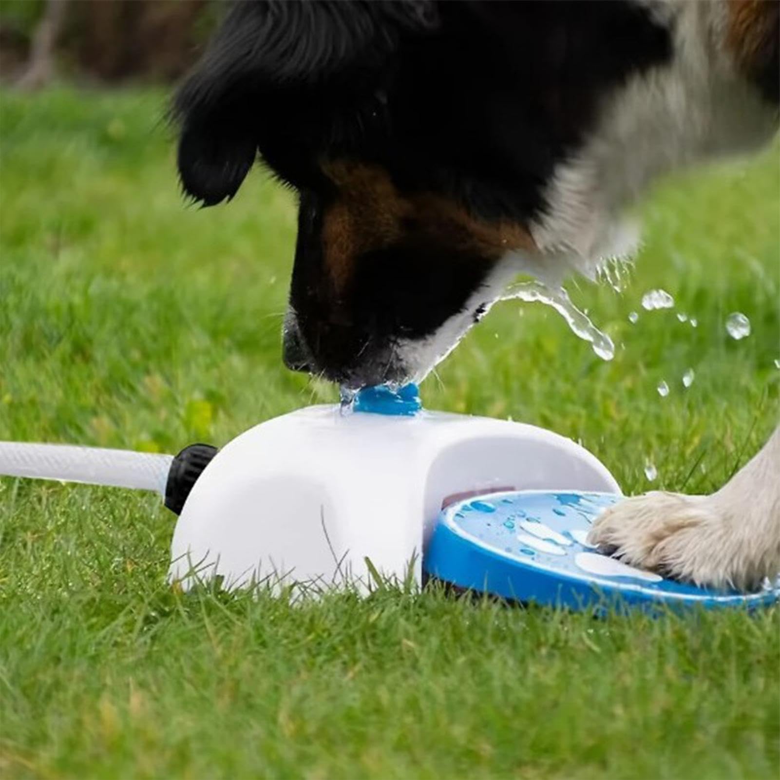 Wasserbrunnen für Hunde | mit interaktivem Spender und 1,62 m Schlauch | Sprinkler mit Pedal für Hunde | Außenbereich Garten Hof Rasen Balkon Sommer