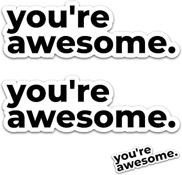 Stickios Cute Car Decals - Youre Awesome, Inspirational & Motivational Bumper Stickers for Cars & Windows - Made in USA 4 PCS