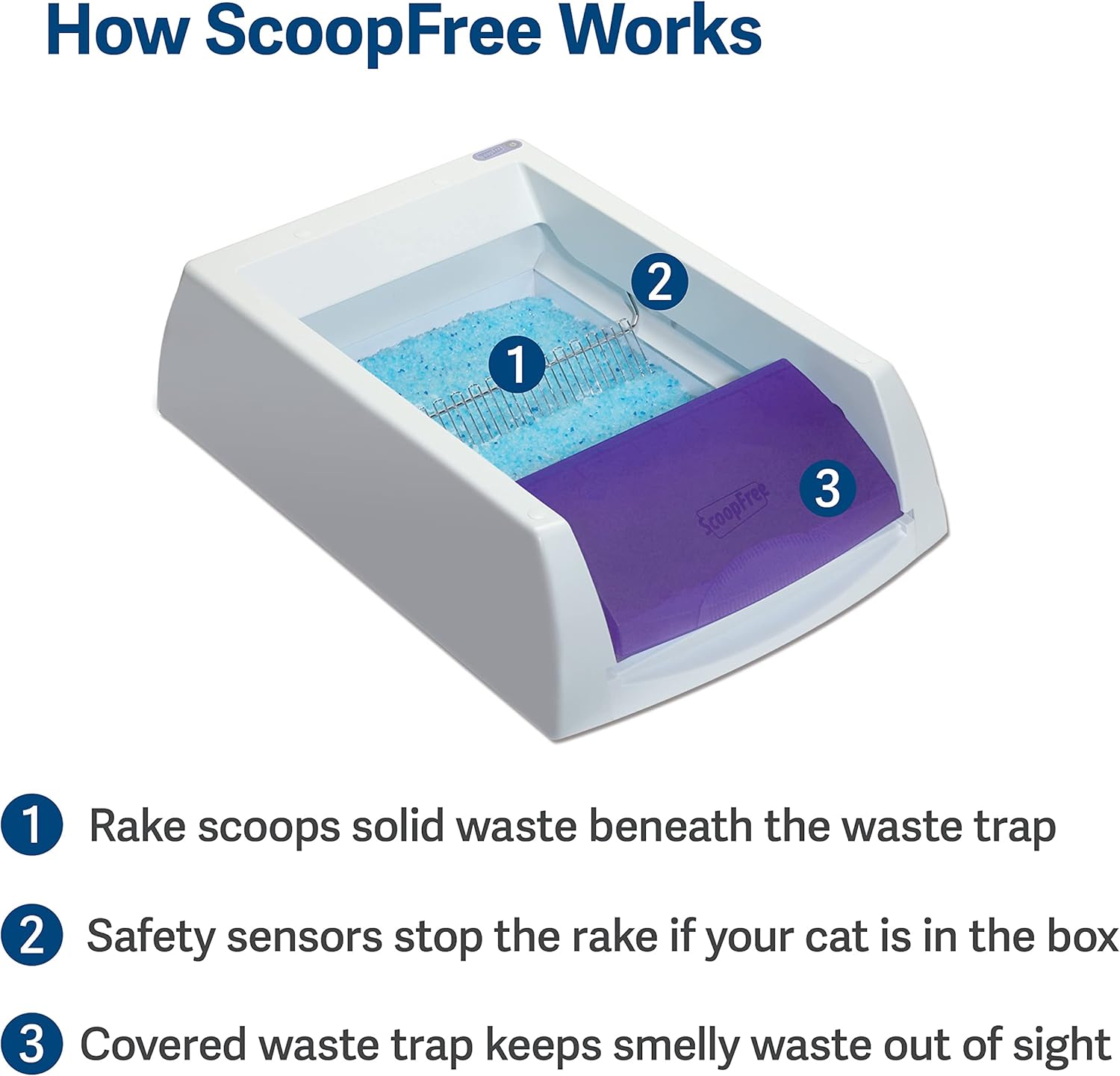 scoopfree top entry