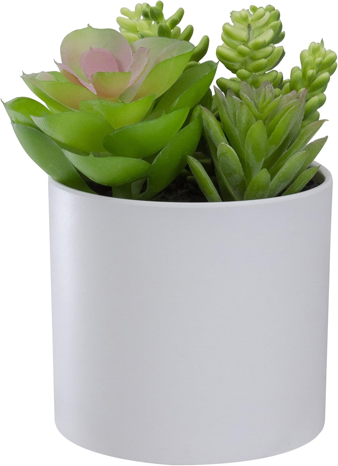 Northlight 5.5" Mixed Artificial Succulent Arrangement in a White Pot