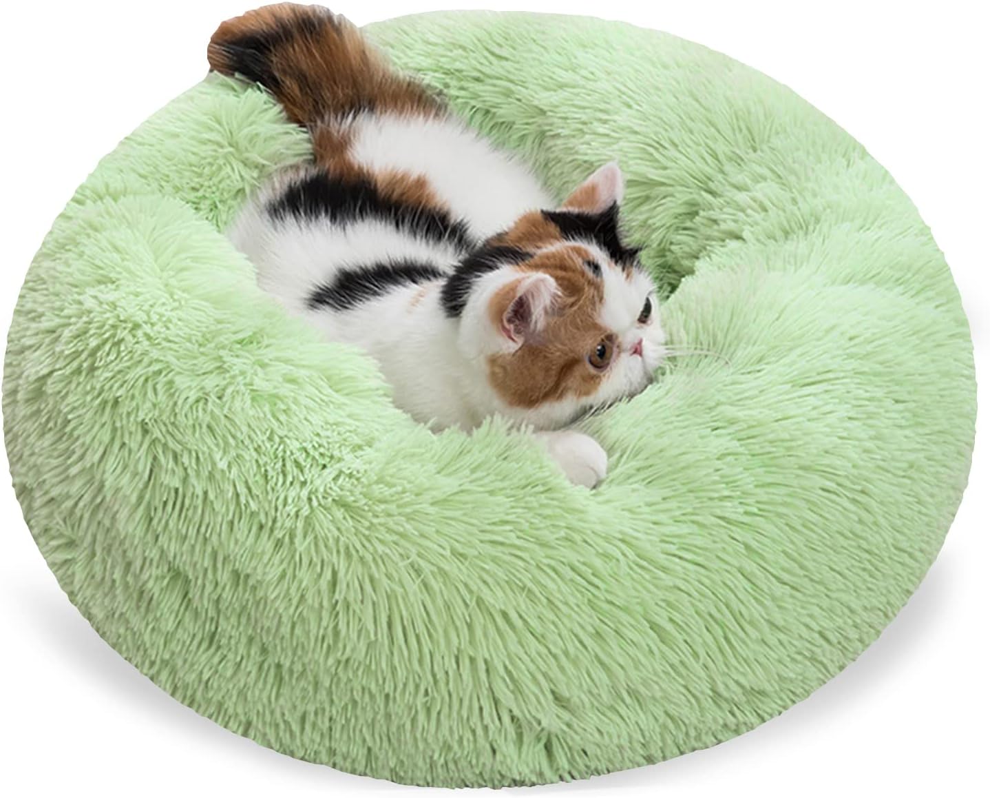 OYhmc Cat Bed Dog Bed Washable Calming Pet Bed, Cactus Petal Shape Cat
