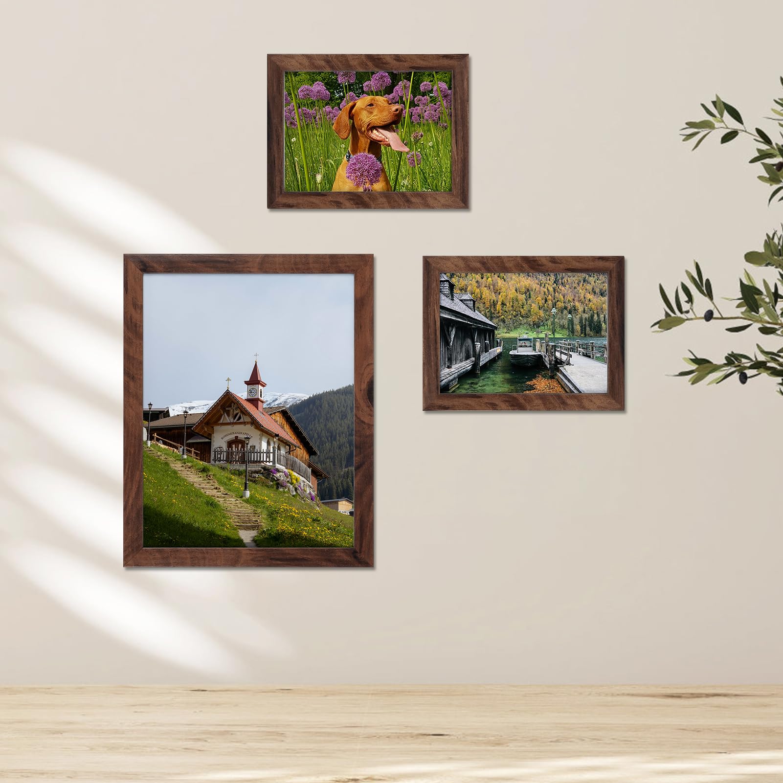 ZBEIVAN Papel fotográfico de 5 x 7, 8.5 x 11 pulgadas, papel fotográfico brillante, 100 hojas, papel de 200 g/m² para impresora (50 hojas de cada tamaño de 5 x 7, 8.5 x 11)
