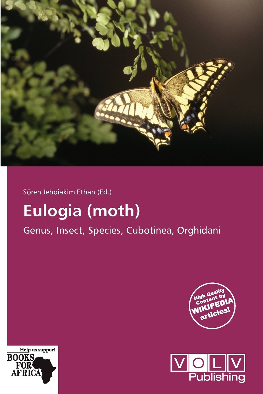 Eulogia (moth): Genus, Insect, Species, Cubotinea, Orghidani