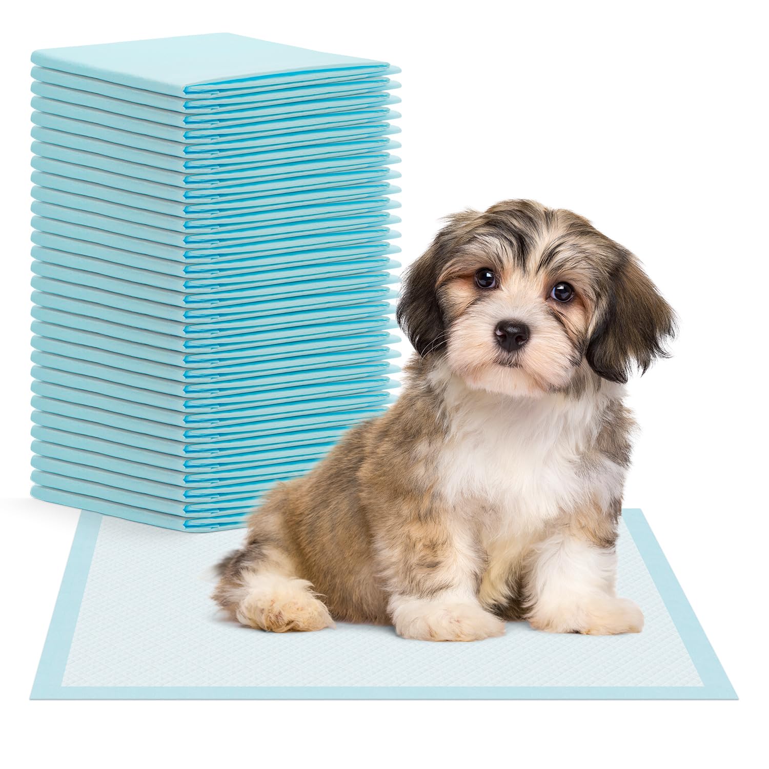 Tapis d'entraînement pour chiens et puppy pads absorbants 40x60 cm ARNOMED anti-fuites