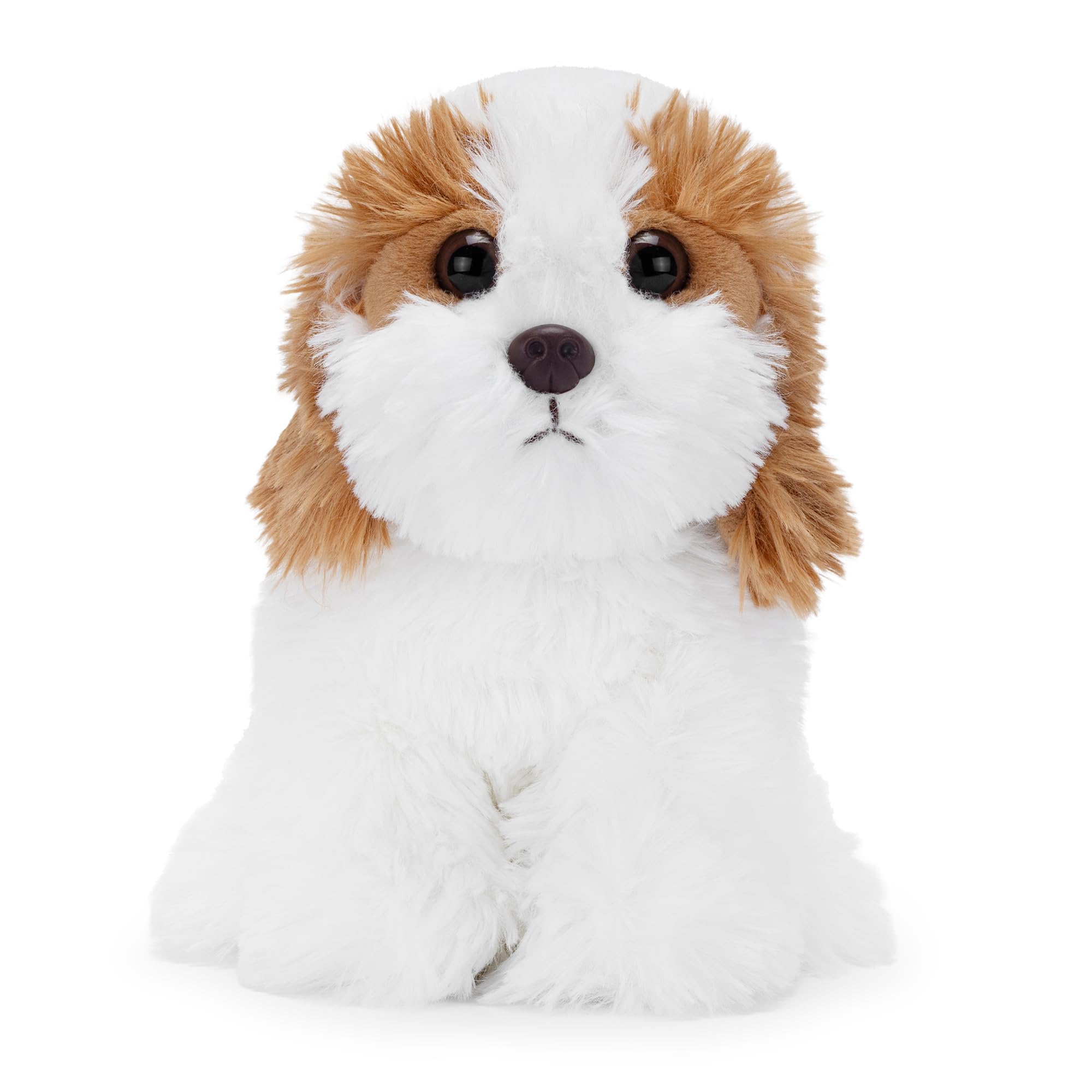 Zappi Co Jackie the Shih Tzu Plush Toy Dog (22cm) Shih Tzu Sweetie  Soft Cuddly Recycled  Fluffy Loyal Friend