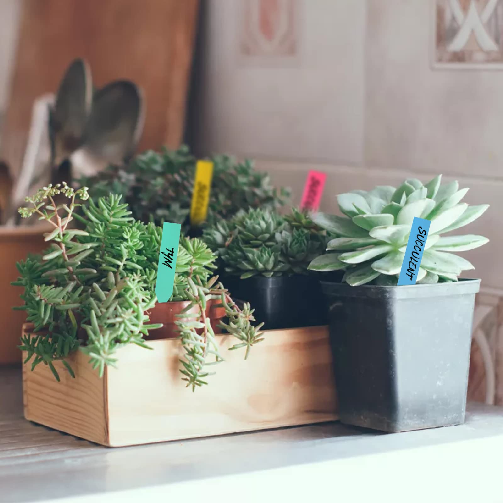 Lot De 1000 Étiquettes En Plastique Pour Plantes 10,2 Cm - Étiquettes Jardin Blancs Réutilisables