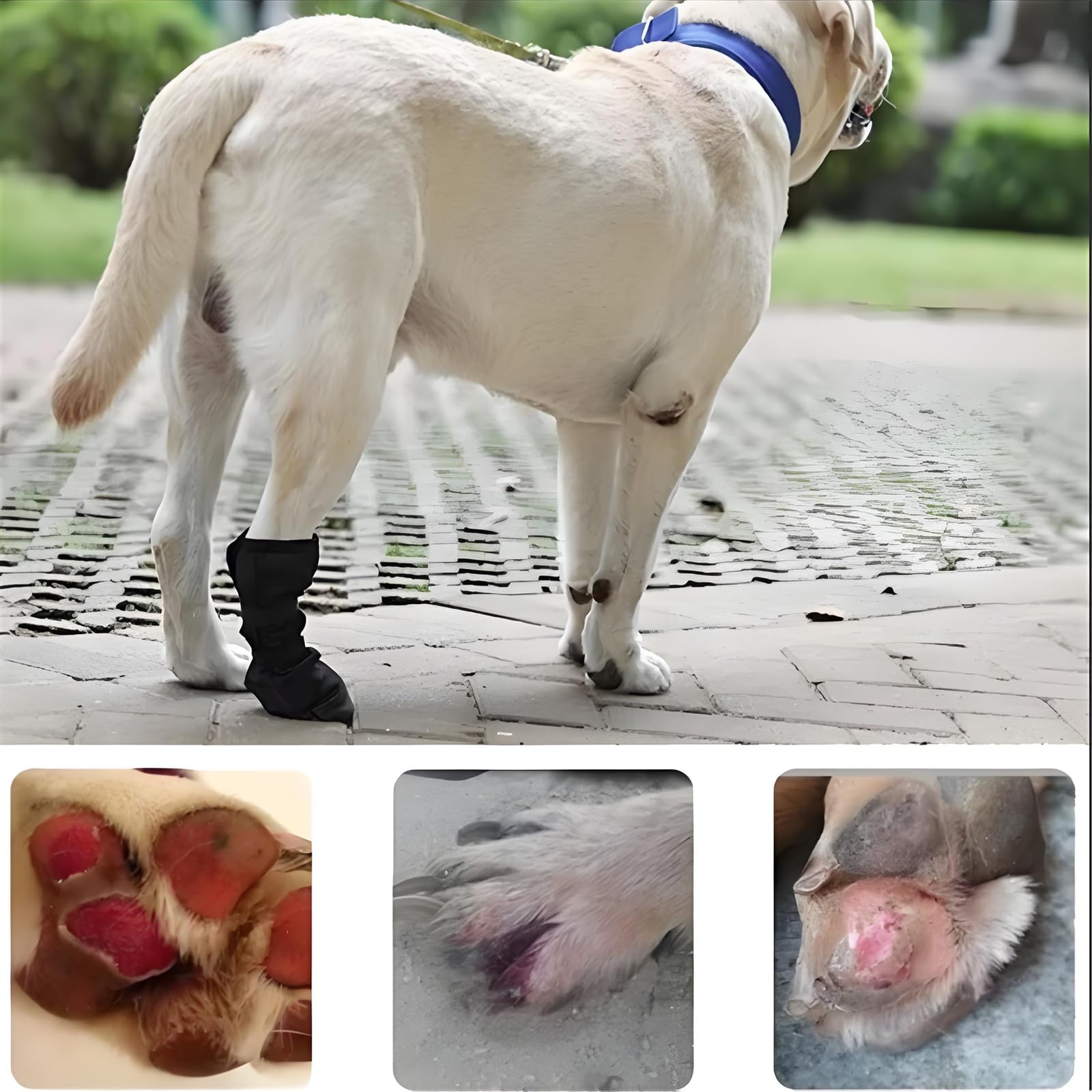 Chaussures pour Chien, Chaussettes Chien, Imperméable et antidérapant Bottes de protection pour pattes de chien Empêche les animaux domestiques de lécher leurs plaies Protégez le chien blessé