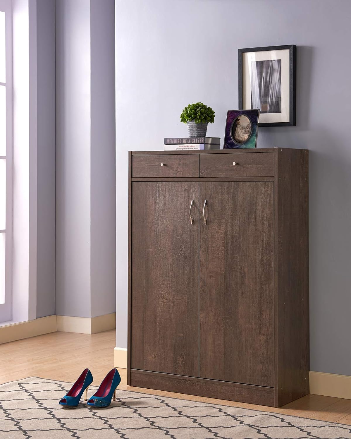 Aurel Mid Century Modern Shoe Storage with Drawers