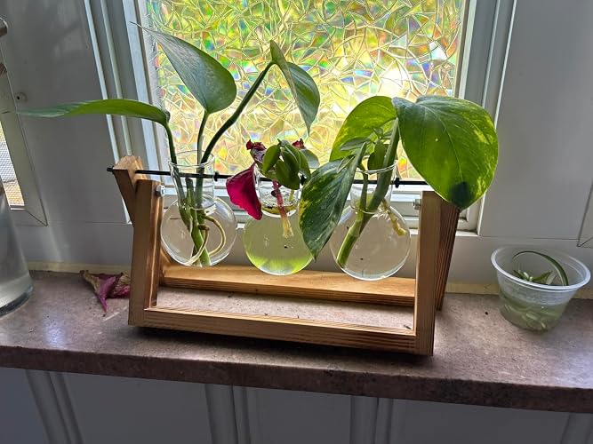 Review Image by Amazon Customer