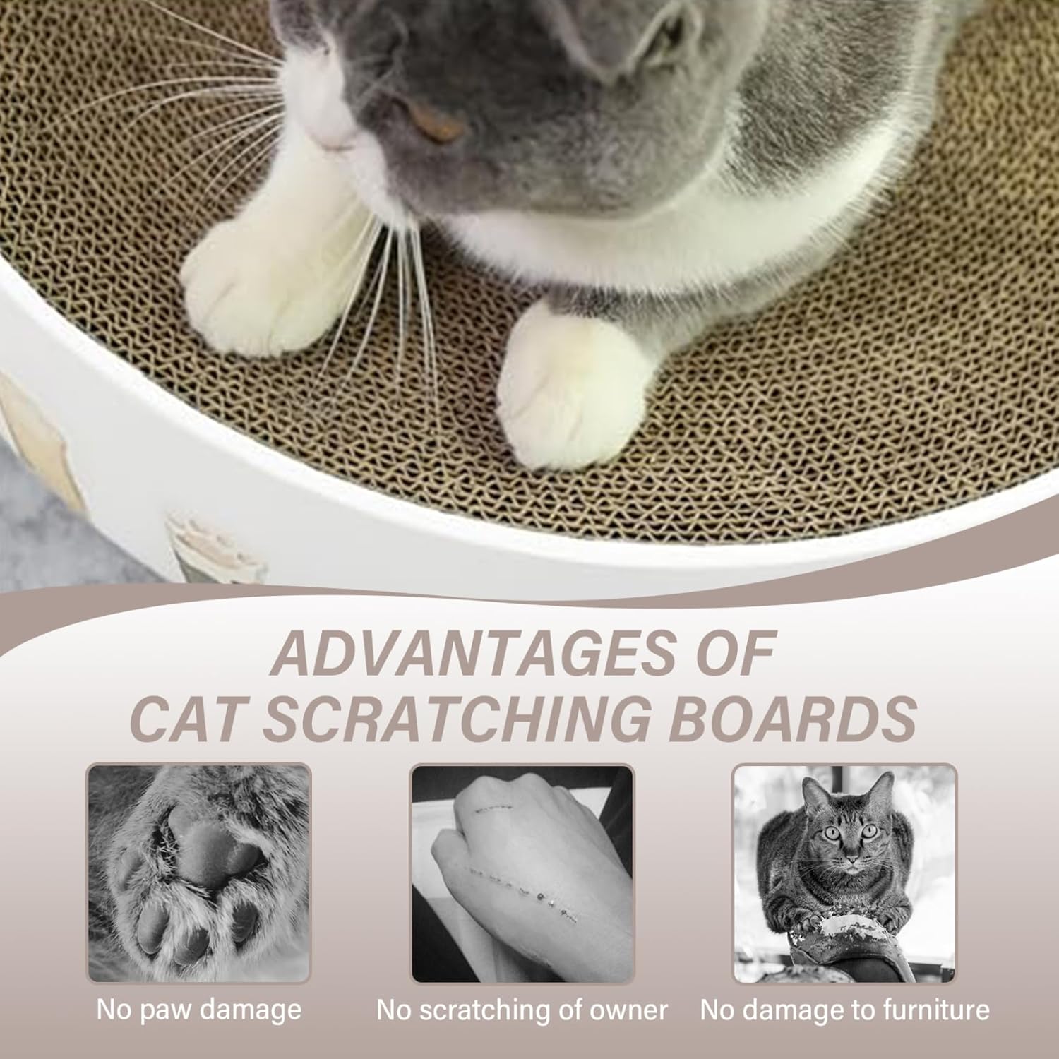 Cat Scratch Bed 2 in 1 Cardboard Cat Scratching Board, 14x3 Bowl Round Scratcher Dampproof Sturdy Scratch Resistant Easy Assembly Scratchers for Indoor Cats