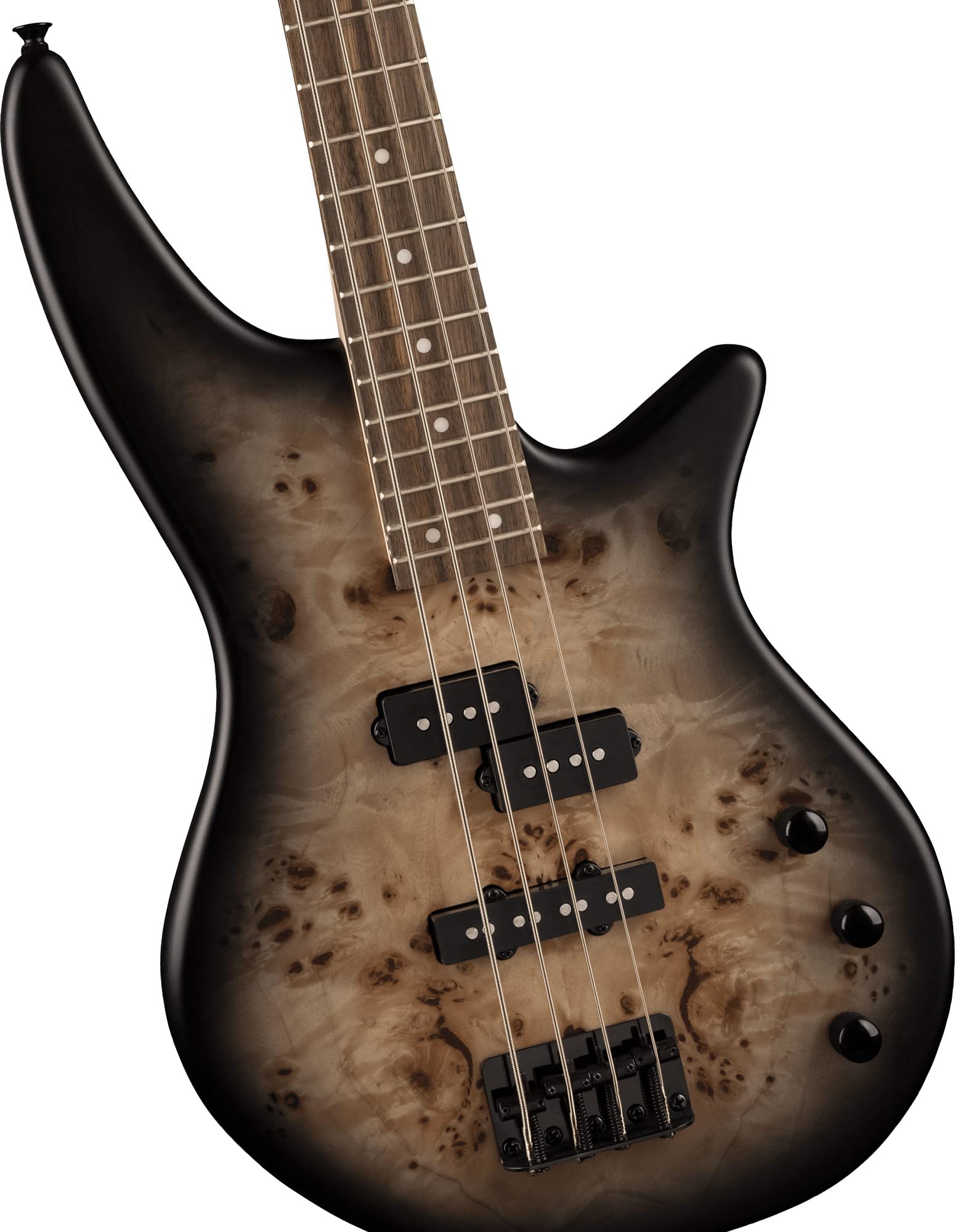 Amazon.com: Jackson JS2P Spectra Bass Guitar - Black Burst Bundle